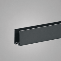 Wangenschuh 16 mm Anthrazit mit 2 Endkappen – Ansicht 2