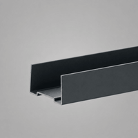 Wangenschuh 50 mm Anthrazit mit 2 Endkappen – Ansicht 2