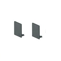 Wangenschuh 25 mm Anthrazit – weitere Ansicht – Ansicht 3